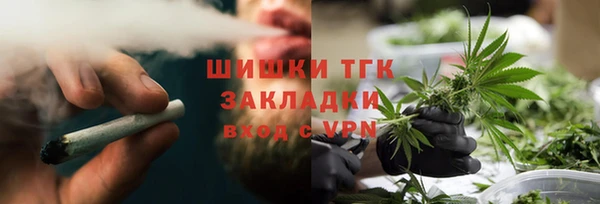 тгк Алексин