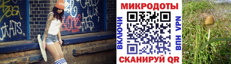 маркетплейс официальный сайт  где продают наркотики  Кольчугино  Галлюциногенные грибы Magic Shrooms 